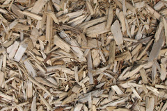 biomass boilers Herstmonceux